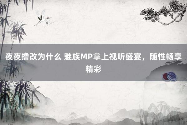 夜夜撸改为什么 魅族MP掌上视听盛宴，随性畅享精彩