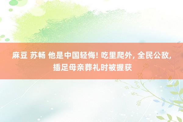 麻豆 苏畅 他是中国轻侮! 吃里爬外， 全民公敌， 插足母亲葬礼时被握获