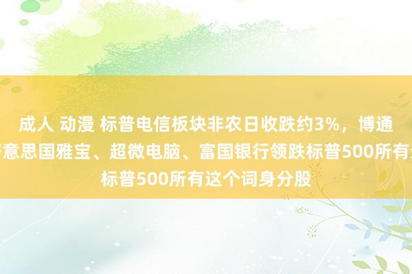 成人 动漫 标普电信板块非农日收跌约3%，博通、特斯拉、好意思国雅宝、超微电脑、富国银行领跌标普500所有这个词身分股