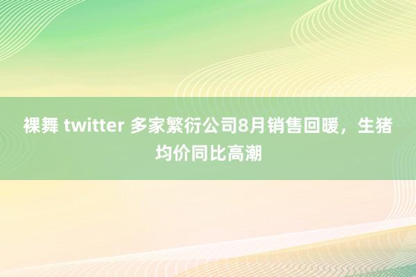 裸舞 twitter 多家繁衍公司8月销售回暖，生猪均价同比高潮