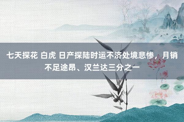 七天探花 白虎 日产探陆时运不济处境悲惨，月销不足途昂、汉兰达三分之一