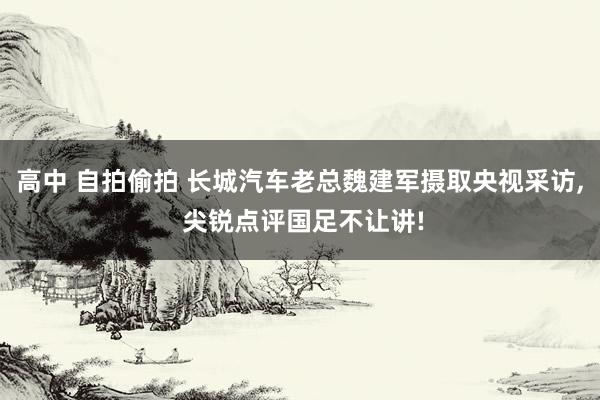 高中 自拍偷拍 长城汽车老总魏建军摄取央视采访， 尖锐点评国足不让讲!