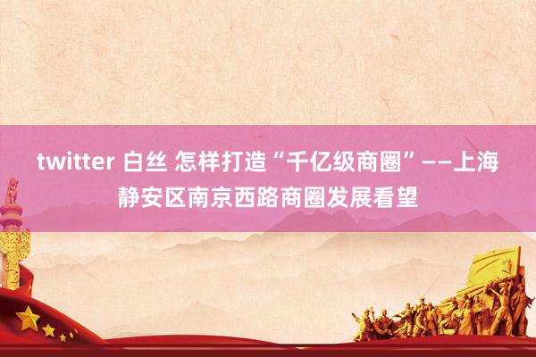 twitter 白丝 怎样打造“千亿级商圈”——上海静安区南京西路商圈发展看望