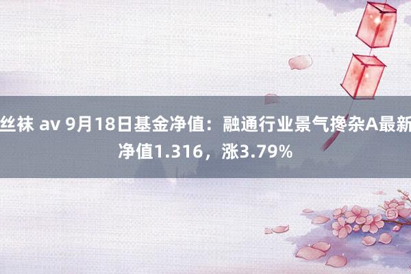 丝袜 av 9月18日基金净值：融通行业景气搀杂A最新净值1.316，涨3.79%