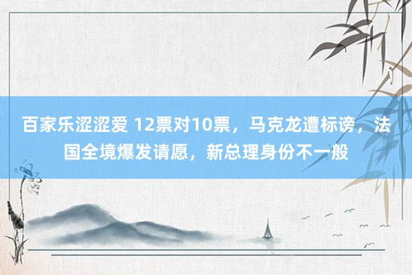 百家乐涩涩爱 12票对10票，马克龙遭标谤，法国全境爆发请愿，新总理身份不一般