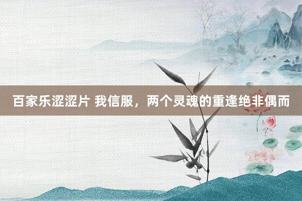 百家乐涩涩片 我信服，两个灵魂的重逢绝非偶而