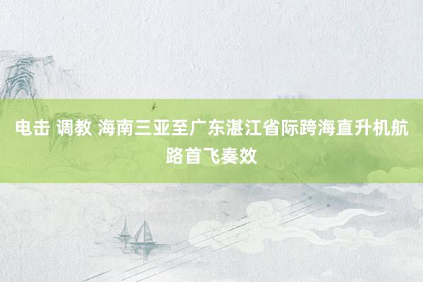 电击 调教 海南三亚至广东湛江省际跨海直升机航路首飞奏效