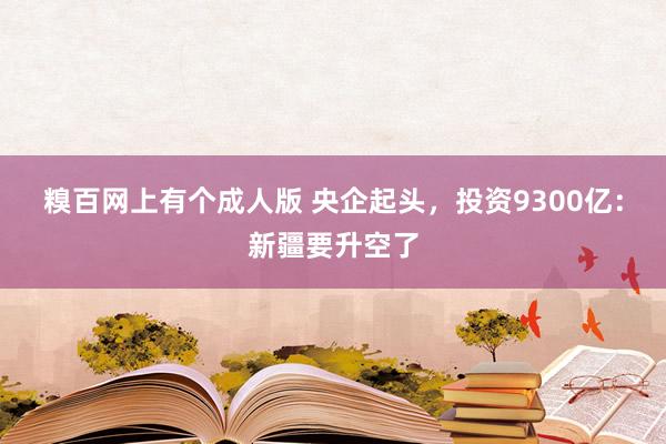 糗百网上有个成人版 央企起头，投资9300亿：新疆要升空了