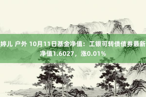 婷儿 户外 10月11日基金净值：工银可转债债券最新净值1.6027，涨0.01%