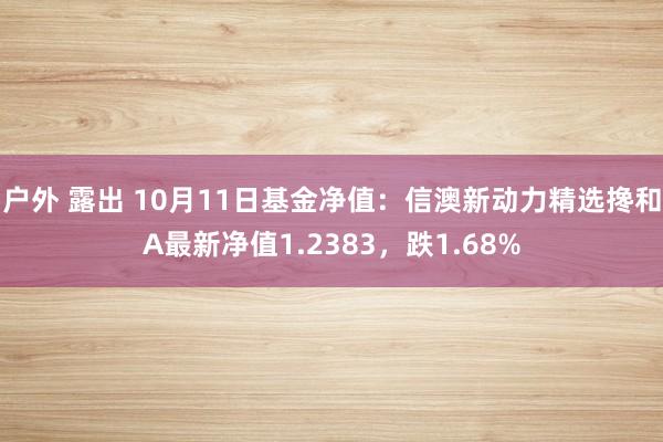 户外 露出 10月11日基金净值：信澳新动力精选搀和A最新净值1.2383，跌1.68%