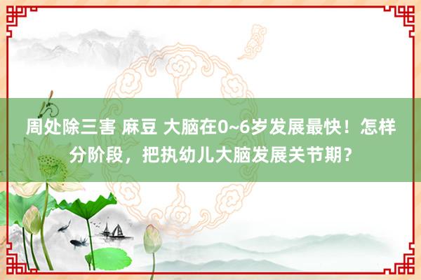 周处除三害 麻豆 大脑在0~6岁发展最快！怎样分阶段，把执幼儿大脑发展关节期？