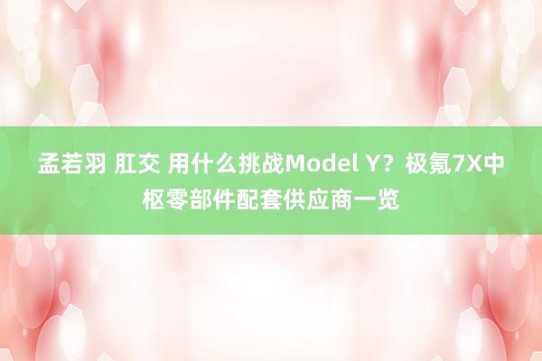 孟若羽 肛交 用什么挑战Model Y？极氪7X中枢零部件配套供应商一览