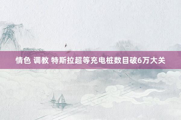 情色 调教 特斯拉超等充电桩数目破6万大关