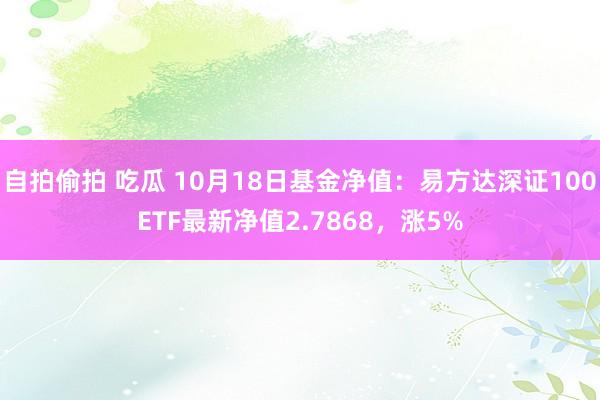 自拍偷拍 吃瓜 10月18日基金净值：易方达深证100ETF最新净值2.7868，涨5%