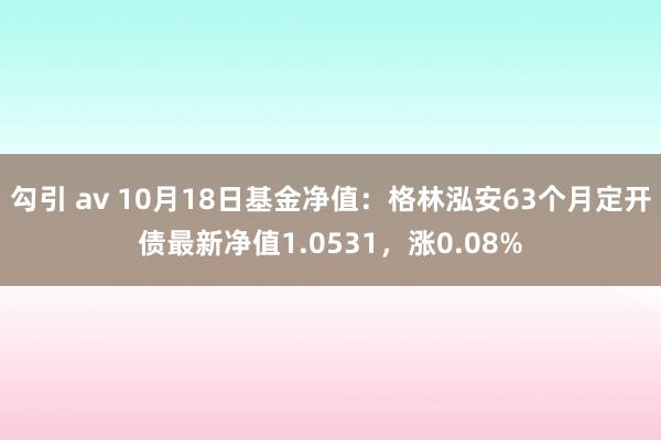 勾引 av 10月18日基金净值：格林泓安63个月定开债最新净值1.0531，涨0.08%