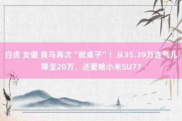 白虎 女優 良马再次“掀桌子”！从35.39万连气儿降至20万，还要啥小米SU7？