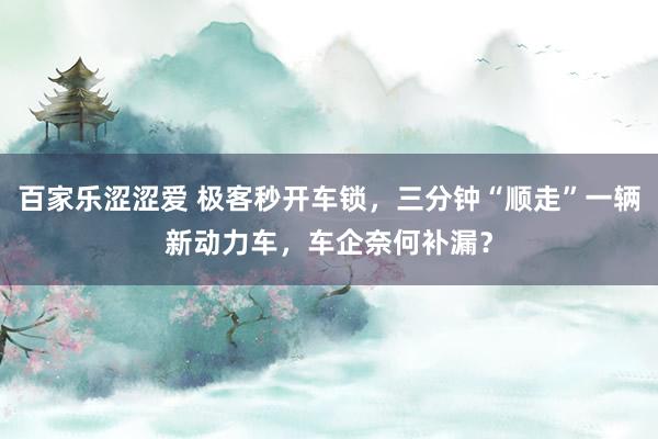 百家乐涩涩爱 极客秒开车锁，三分钟“顺走”一辆新动力车，车企奈何补漏？