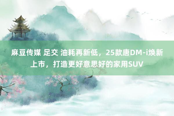 麻豆传媒 足交 油耗再新低，25款唐DM-i焕新上市，打造更好意思好的家用SUV