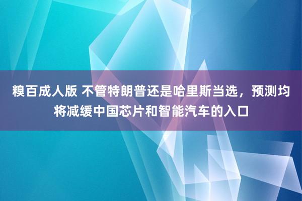 糗百成人版 不管特朗普还是哈里斯当选，预测均将减缓中国芯片和智能汽车的入口