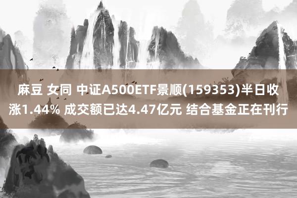 麻豆 女同 中证A500ETF景顺(159353)半日收涨1.44% 成交额已达4.47亿元 结合基金正在刊行