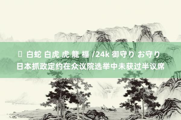 ✨白蛇 白虎 虎 龍 福 /24k 御守り お守り 日本抓政定约在众议院选举中未获过半议席