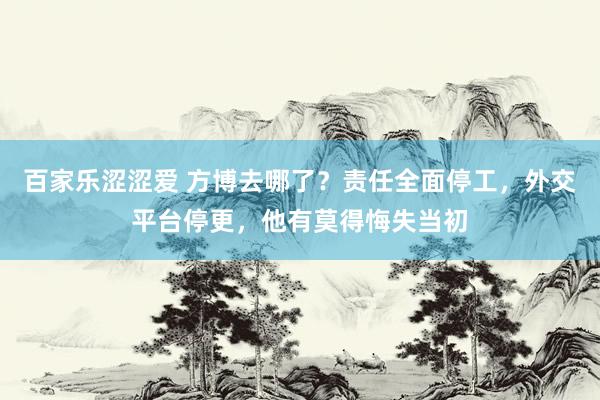 百家乐涩涩爱 方博去哪了？责任全面停工，外交平台停更，他有莫得悔失当初