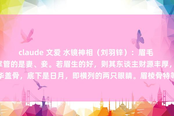 claude 文爱 水镜神相（刘羽锌）：眉毛 8。眉毛在五行中属金，掌管的是妻、妾。若眉生的好，则其东谈主财源丰厚，生存富足。眉上是华盖骨，底下是日月，即横列的两只眼睛。眉棱骨特等的性恶，运谈多逶迤且孑然，眉棱骨特等主...