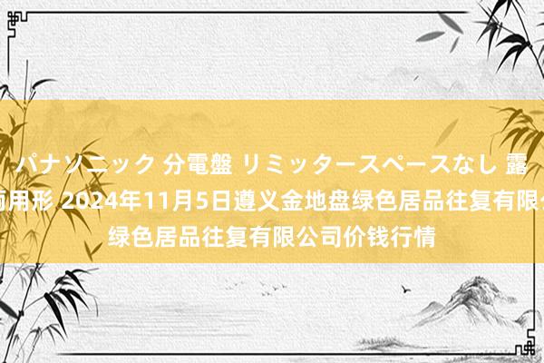 パナソニック 分電盤 リミッタースペースなし 露出・半埋込両用形 2024年11月5日遵义金地盘绿色居品往复有限公司价钱行情