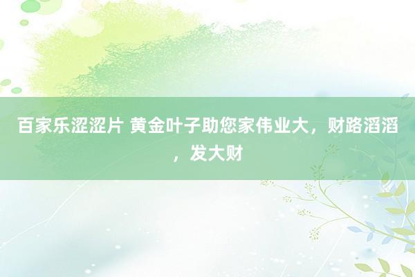 百家乐涩涩片 黄金叶子助您家伟业大，财路滔滔，发大财