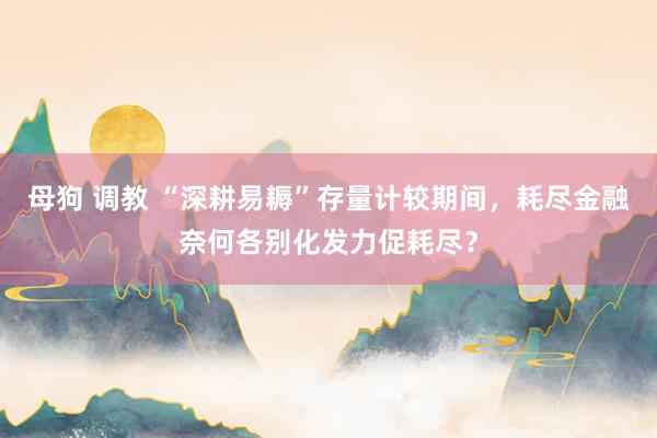 母狗 调教 “深耕易耨”存量计较期间，耗尽金融奈何各别化发力促耗尽？