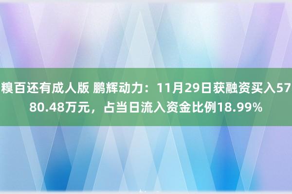 糗百还有成人版 鹏辉动力：11月29日获融资买入5780.48万元，占当日流入资金比例18.99%