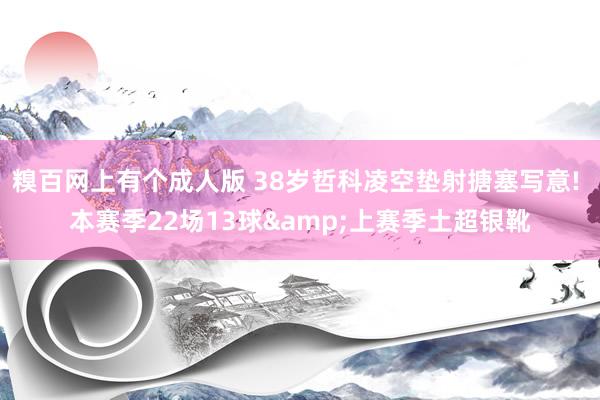 糗百网上有个成人版 38岁哲科凌空垫射搪塞写意! 本赛季22场13球&上赛季土超银靴