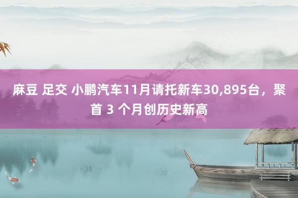 麻豆 足交 小鹏汽车11月请托新车30，895台，聚首 3 个月创历史新高