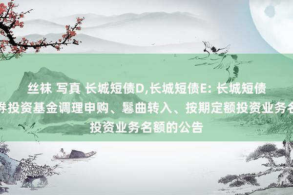 丝袜 写真 长城短债D，长城短债E: 长城短债债券型证券投资基金调理申购、鬈曲转入、按期定额投资业务名额的公告