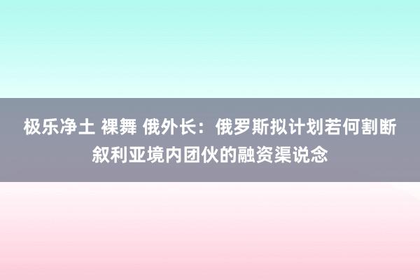 极乐净土 裸舞 俄外长：俄罗斯拟计划若何割断叙利亚境内团伙的融资渠说念