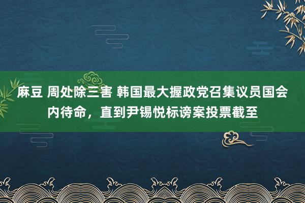 麻豆 周处除三害 韩国最大握政党召集议员国会内待命，直到尹锡悦标谤案投票截至