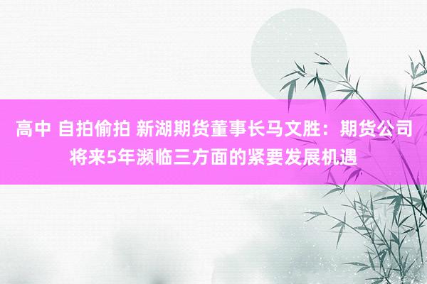 高中 自拍偷拍 新湖期货董事长马文胜：期货公司将来5年濒临三方面的紧要发展机遇