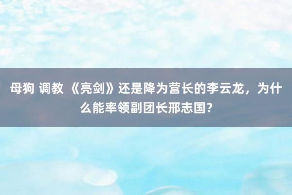 母狗 调教 《亮剑》还是降为营长的李云龙，为什么能率领副团长邢志国？