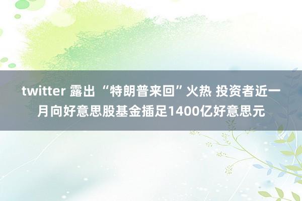 twitter 露出 “特朗普来回”火热 投资者近一月向好意思股基金插足1400亿好意思元