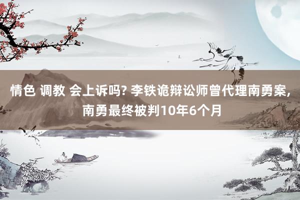 情色 调教 会上诉吗? 李铁诡辩讼师曾代理南勇案， 南勇最终被判10年6个月