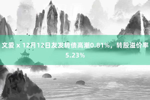 文爱 x 12月12日友发转债高潮0.81%，转股溢价率5.23%