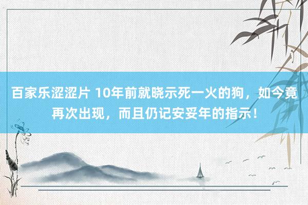 百家乐涩涩片 10年前就晓示死一火的狗，如今竟再次出现，而且仍记安妥年的指示！