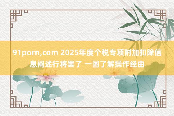 91porn，com 2025年度个税专项附加扣除信息阐述行将罢了 一图了解操作经由