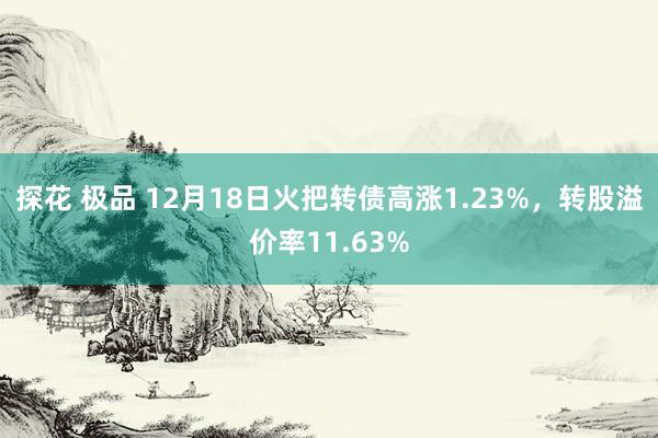 探花 极品 12月18日火把转债高涨1.23%，转股溢价率11.63%