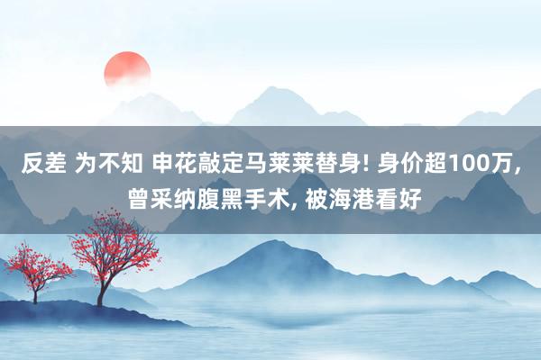 反差 为不知 申花敲定马莱莱替身! 身价超100万， 曾采纳腹黑手术， 被海港看好