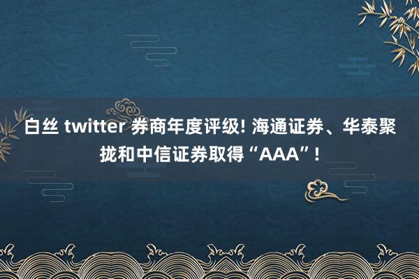 白丝 twitter 券商年度评级! 海通证券、华泰聚拢和中信证券取得“AAA”!