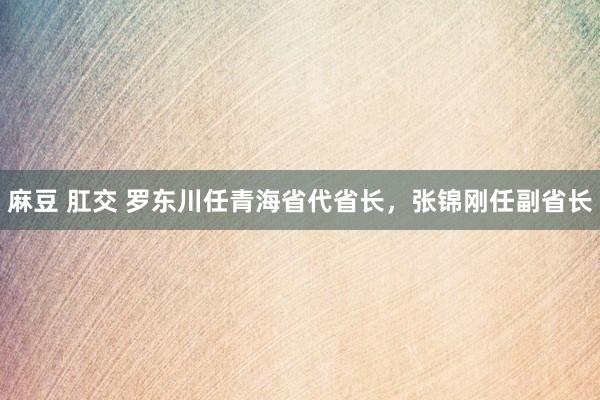 麻豆 肛交 罗东川任青海省代省长，张锦刚任副省长